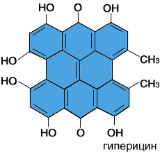 Гиперицин