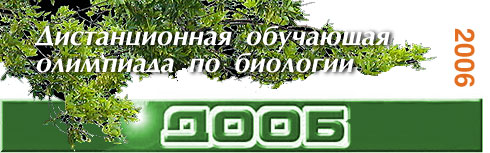 ����������� ������ �������� ����-2006 - ��� ������� ��� �������� ������ �������